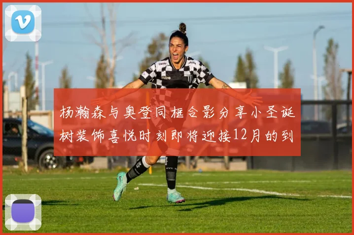 杨瀚森与奥登同框合影分享小圣诞树装饰喜悦时刻即将迎接12月的到来