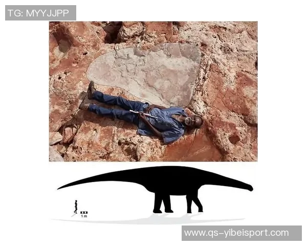 斯波谈执教国家队的荣耀与在本土征战的独特体验